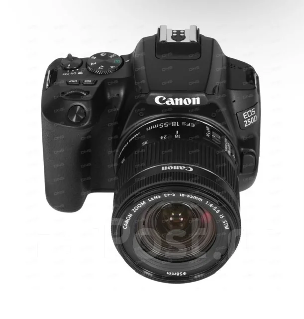 Canon EOS 250D ����