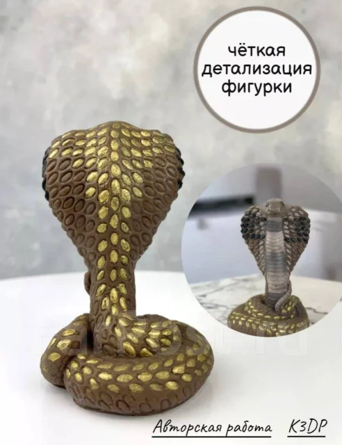 �����. ����