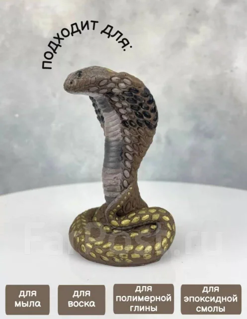 �����. ����