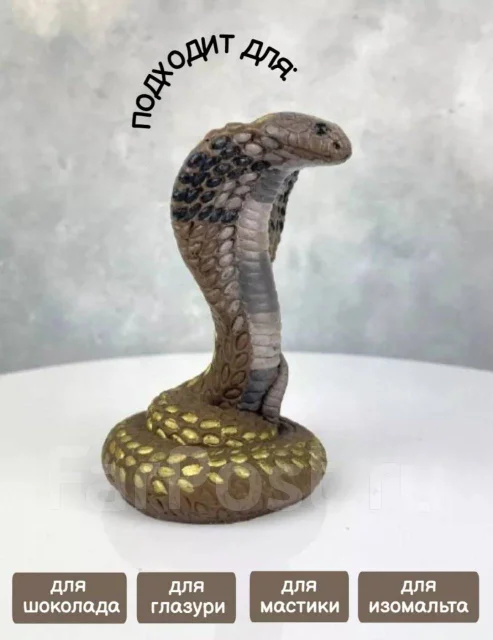 �����. ����