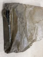 ��� ���� �������� ����