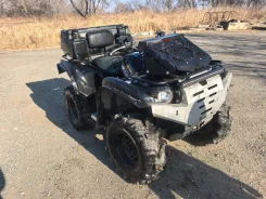 Yamaha Grizzly 700. ��������, ��, �� ����