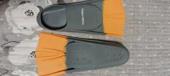 �����. ����