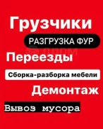 ��������. ����