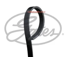 ������ ������������ XF 48380 Gates 4PK1183 4PK1183 ����