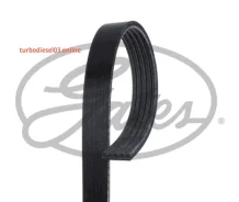 ������ ������������ XF 58374 Gates 5PK1113 5PK1113 ����