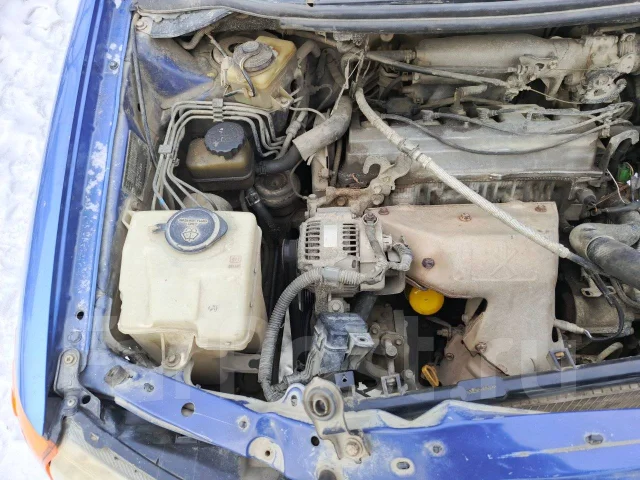 Toyota Ipsum ����