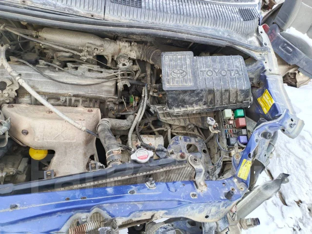 Toyota Ipsum ����