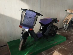 Suzuki Mollet. 50����. ��., ��������, ��� ���, ��� ������� ����