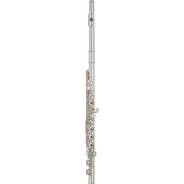 ������ � "��-���������", � ������������, �� � ����� YAMAHA YFL-372 - ����