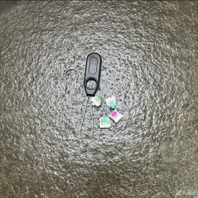 ����������. ����