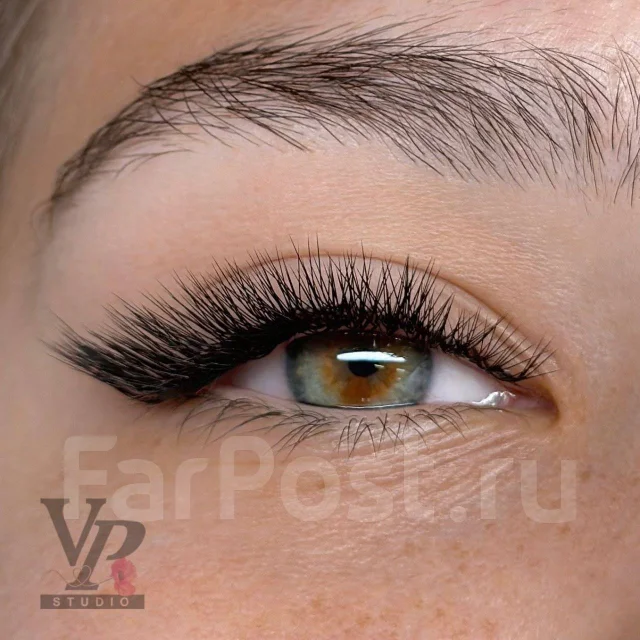 ����������� ������. ����