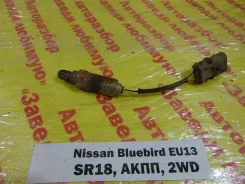 ������ ����������� Nissan Bluebird 1994 226904E200 ����