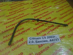 ����� ��������� Citroen C5 2002, ����� �������� 480697 ����