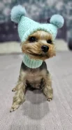 �����. ����