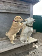 ���������������� �����. ����
