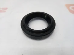 ������� �������� ������� 24x40x7,5 12342P08004 ����