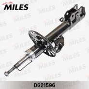 ����������� �������� ������ ������� DG21596 Miles DG21596 ����