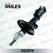 ����������� �������� ������ ������� DG21579 Miles DG21579 ����