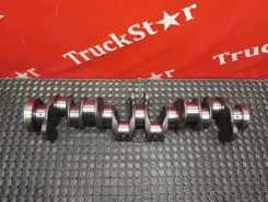�������� (��� ��������) 2020�. [20486222] [���. 80047] 20486222 ����