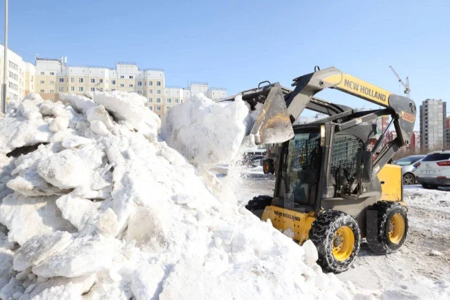 ����� ������ ����