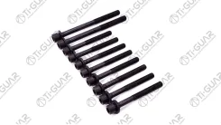 ����� � ����� /Tiguar ��� Hyundai Kia 1995 G4DRG4DMG4GFG4GRG4GBG4GC; ���. 10 ������ M12 ��� 1,25 ����� 151�� 8 M10 99��; Tgchb020SET; 2232123010 81020...