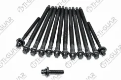 ����� � ����� / Tiguar ��� Peugeot; 10 ���� M10 150��, 2 M8 95,3��, 1 35��; Tgchb055SET; 11127560274 81044100 426830 Tiguar TGCHB055SET ����