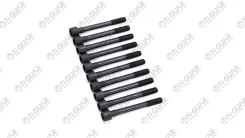 ����� � ����� / Tiguar ��� Ajusa 81030900; ������ 93mm; Tgchb086SET; 110564M500 290330 Tiguar TGCHB086SET ����