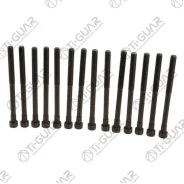 ����� � ����� /Tiguar ��� Daewoo MercedesBenz PUCH Roewe SsangYong; ���. 14/ ������ M12/ ��� ������ 1,75/ ������ 160��. ; Tgchb114SET; 1049900012 1432...