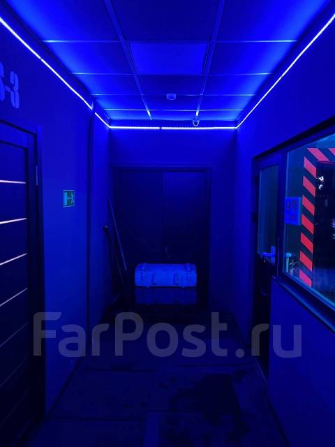 ������������ ���� ProGame ����