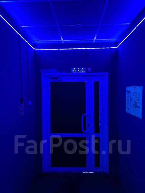 ������������ ���� ProGame ����