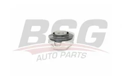 ����� ������ ������� bsg70700089 BSG BSG70700089 ����