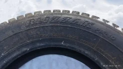 Bridgestone Blizzak PM-10. �����������, �/�, ����� �� 5 % ����