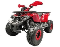 Tao Motor