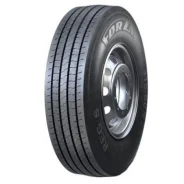 ���� Forza REG S