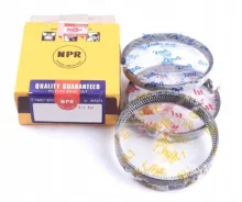 ������ ��������� (300) NPR SWM31-079ZZ-STD (SWM31-085ZZ-STD) NPR SWM31-079ZZ-0 SWM31079ZZ0 ����