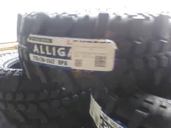 Lakesea Alligator. ����� mt, 2026 ���, �����. ��� ����� �� ������ ����