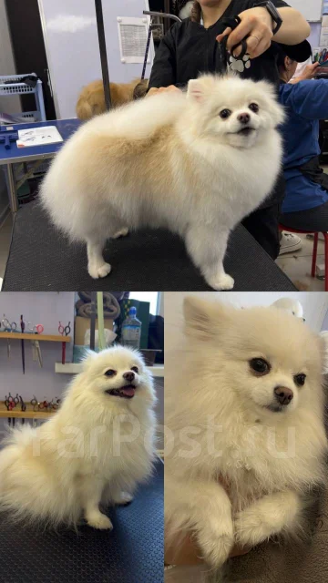 �������. ����