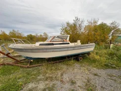 Yamaha Fish 24. 1990 ���, ����� 7,5��., ��������� ��� ���������, 300��.�., ������ ����