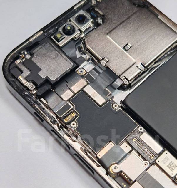  iPhone. 