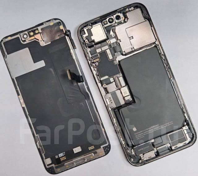   iPhone. 