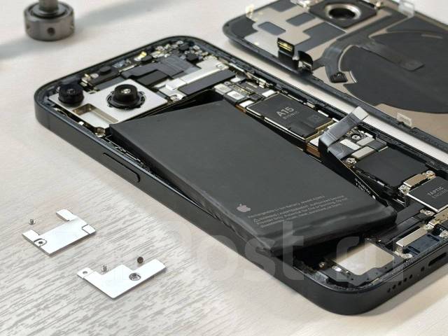   iPhone. 