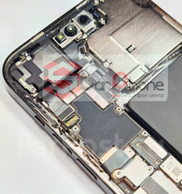   iPhone. 