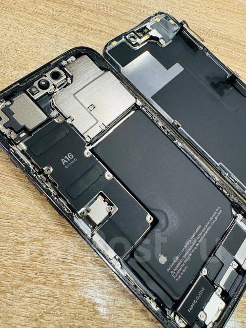   iPhone. 