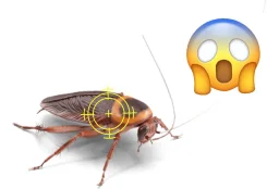 ����������� �����. ����