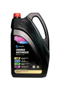 �������� ����������� CWORKS Antifreeze Long Life G12+, 5L �������. ASTM D3306. GB 29743-2013 BMW GS 94000 Cummins CES 14439 CHRYSLER MS-90032 DEUTZ DQ...