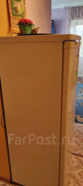 ������ �����������. ����