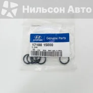 ������ �������������� Nissan/Mazda/MMC/Hyundai, �������� 1710015000 ����