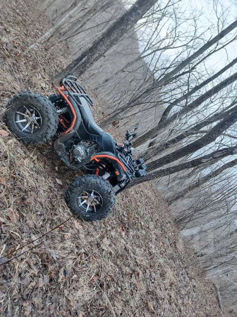 Linhai-Yamaha 300. ��������, ��� ���\���, �� ����