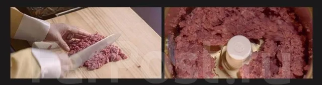 ��������. ����